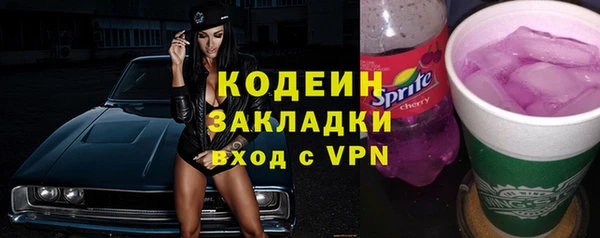 ПСИЛОЦИБИНОВЫЕ ГРИБЫ Богданович