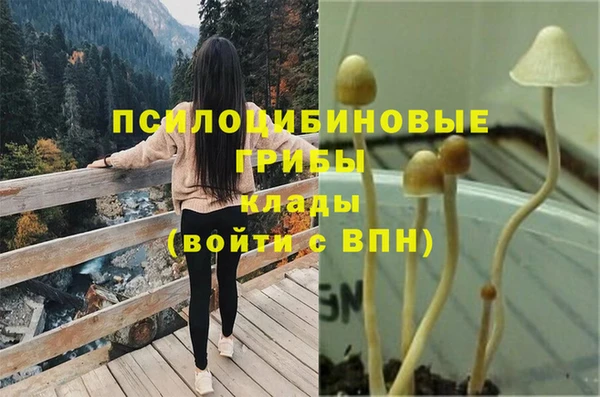 круглые Белокуриха