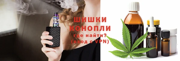 стаф Богородицк