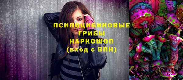 ПСИЛОЦИБИНОВЫЕ ГРИБЫ Богданович