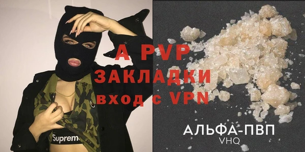 ПСИЛОЦИБИНОВЫЕ ГРИБЫ Богданович
