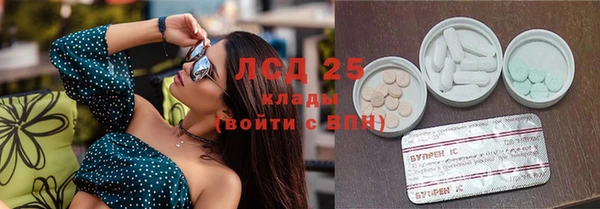 ПСИЛОЦИБИНОВЫЕ ГРИБЫ Богданович