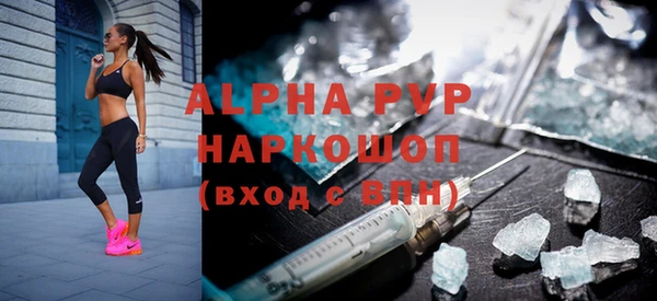ПСИЛОЦИБИНОВЫЕ ГРИБЫ Богданович