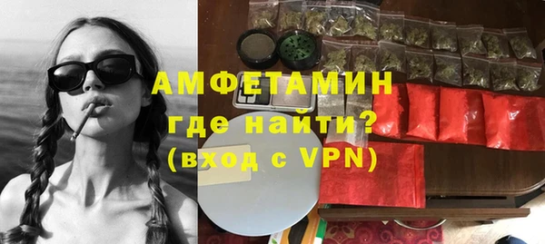 ПСИЛОЦИБИНОВЫЕ ГРИБЫ Богданович