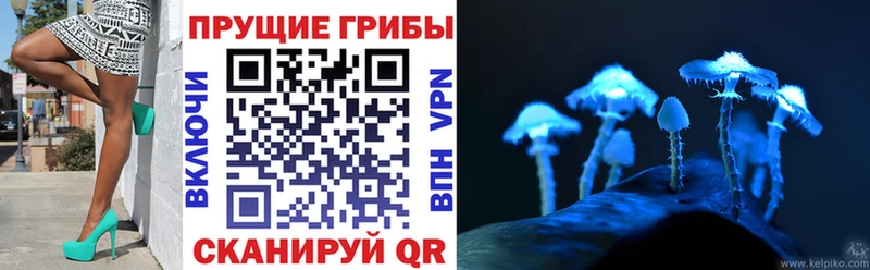 Галлюциногенные грибы MAGIC MUSHROOMS  даркнет сайт  Валуйки 